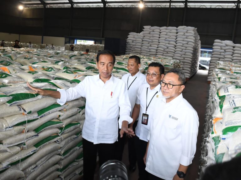 Jokowi Luncurkan Cadangan Beras untuk Bantuan Pangan