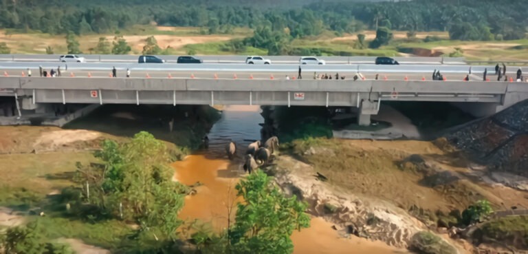 Pembangunan Terowongan Lintasan Gajah di Ruas Tol Pekanbaru-Dumai