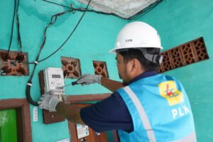5 Tahun Dipimpin Erick Thohir, PLN Tumbuh dengan Layanan Penuh Inovasi