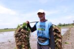 Kabar Baik untuk Petani Bekasi Terdampak Banjir 43,8 Ton Benih Padi Segera Disalurkan