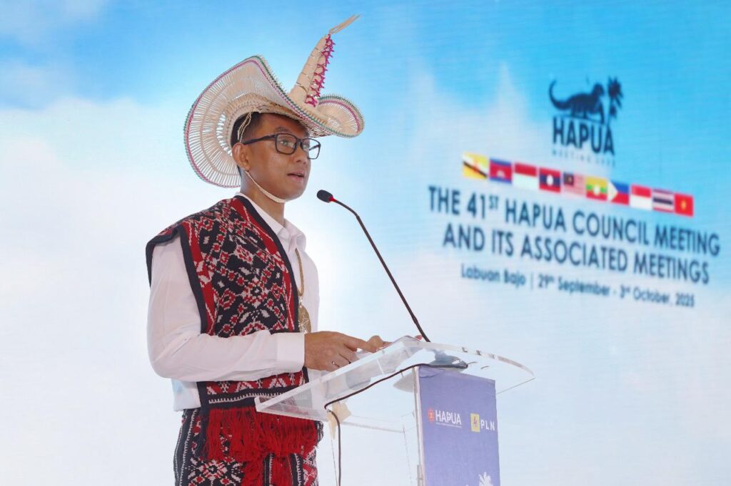 PLN Dorong Interkoneksi ASEAN Power Grid BRTV
