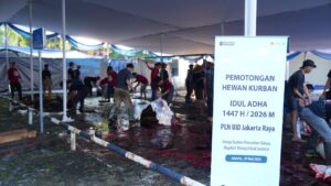 Tebar Kebahagian Idul Adha, 255 Hewan Kurban PLN UID Jakarta Raya Jangkau Ribuan Masyarakat yang Membutuhkan