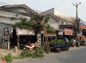 PLN UP3 Cikarang Intensifkan Pemangkasan Pohon Demi Jaga Keandalan Pasokan Listrik