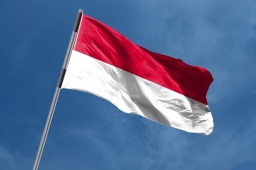 Semarak Festival Merah Putih ke-11: Ribuan Warga Arak Bendera 500 Meter di Jalur SSA Bogor