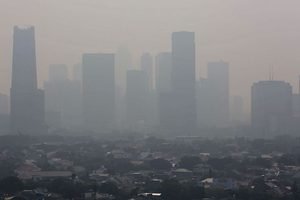 Kabut Asap Karhutla Ganggu Sekolah, Ribuan Satuan Pendidikan di Kalimantan Beralih ke PJJ