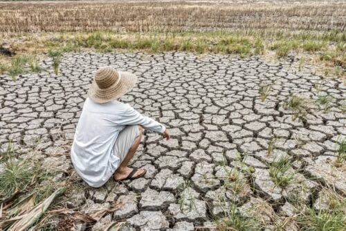 Musim Kemarau Datang, Warga Mulai Bersiap Hadapi Cuaca Panas dan Kekeringan