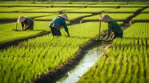 Menjaga Ketahanan Pangan dan Ketersediaan Air untuk Masa Depan