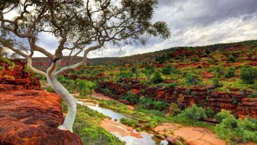 Finke River, Sungai Purba Australia yang Diduga Telah Ada Sebelum Pangaea