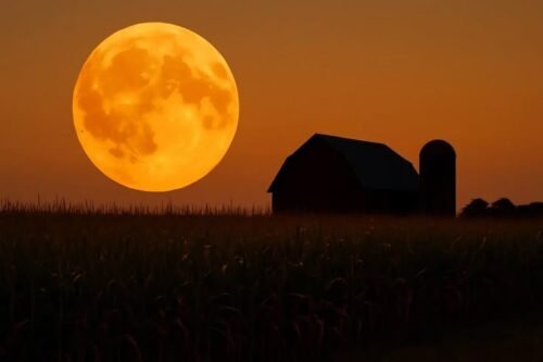 Harvest Moon 2026 Telah Terjadi 26 September, Ini Waktu Pengamatannya