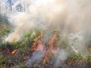 Karhutla Masih Melanda Kalimantan, Kabut Asap dan Ancaman Kesehatan Jadi Perhatian