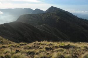 Kebakaran Hebat Taman Nasional Tambora, Bagaimana Kondisi Pendakian?