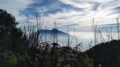 Kebakaran Melanda Gunung Buthak di Kota Batu, 271 Pendaki Diimbau Segera Turun