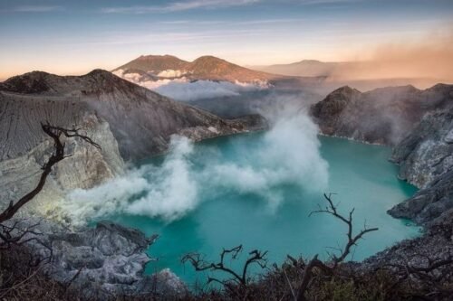 Kebakaran Melanda Kawasan Gunung Ijen, Api Menjalar di Area Cagar Alam