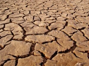 31 Wilayah Jawa Tengah Berstatus Awas Kekeringan pada September 2026