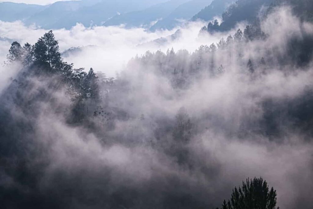 Apa Itu Kabut Asap? Pengertian, Penyebab, dan Dampak bagi Kesehatan
