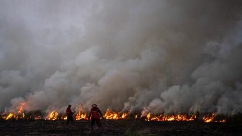 Darurat Kesehatan! Karbon Monoksida Tinggi di Kalimantan, PM10 Tembus Level Berbahaya