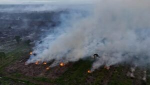 Hotspot Karhutla Meningkat di 4 Provinsi, Kalteng dan Sumsel Jadi Perhatian