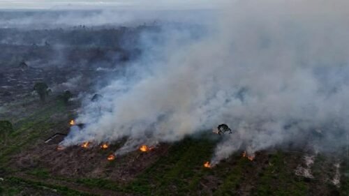 Hotspot Karhutla Meningkat di 4 Provinsi, Kalteng dan Sumsel Jadi Perhatian