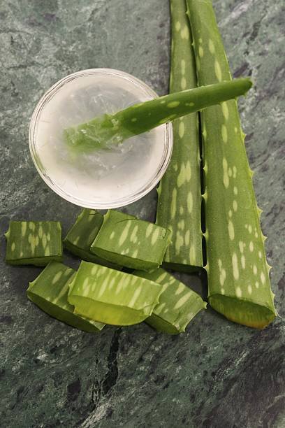Manfaat Lidah Buaya untuk Kulit dan 5 Rekomendasi Produk Aloe Vera Terbaik