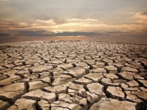Tanah Retak di Kalimantan, Benarkah Kalimantan Akan Menjadi Gurun?
