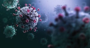 WHO Telusuri Kasus Pertama Virus Shamonda pada Manusia di Prancis