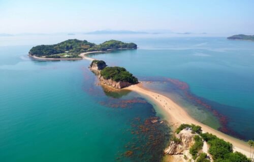 Shikoku: Hidden Gem Jepang, Pulau dengan Alam Menakjubkan yang Bikin Takjub