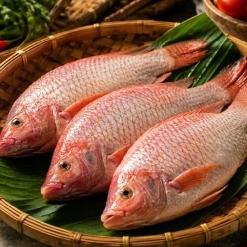 Dari Ikan Nila hingga Caviar: Daftar Seafood Red Flag yang Dihindari Para Chef